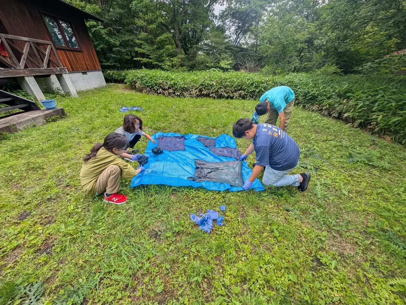 富士キャンプツアーからの静かな森の湖と緑